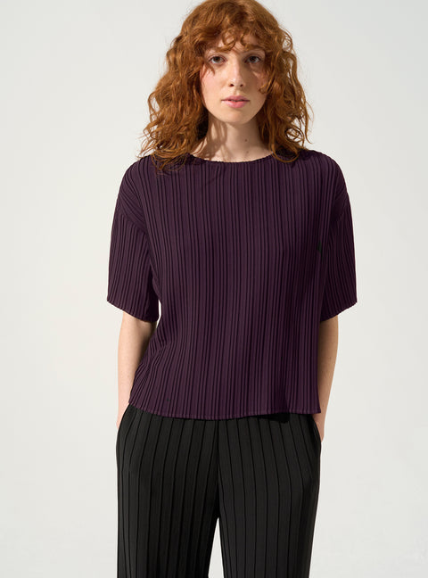 Pleated Blouse